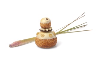 Religieuse Citronnelle 'du jardin'.