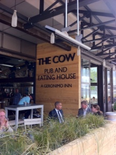 The cow, pub raffiné à Westfield.