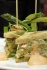 Lancement du club sandwich de Stéphane Duchiron