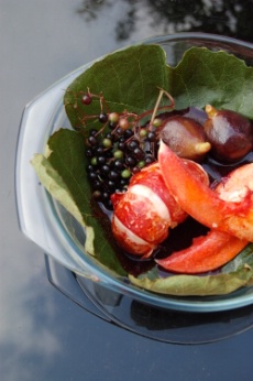 Homard en cocotte lutée, à la feuille de figuier et baies de sureau.