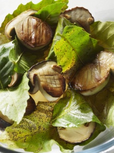Cèpes en feuilles de châtaigner.