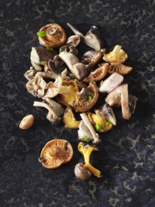 Fricassée retour de cueillette.