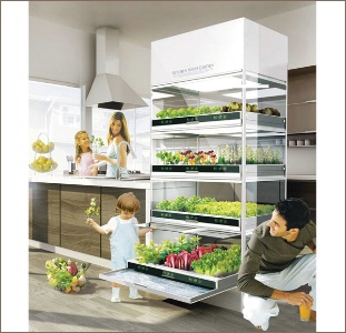 Le Nano Garden, de Hyundai. Sensibles à la fraîcheur des produits, restaurateurs et particuliers commencent à s'intéresser à la culture hors sol. Le Nano Garden, de Hyundai. Sensibles à la fraîcheur des produits, restaurateurs et particuliers commencent à s'intéresser à la culture hors sol.