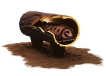 Bûche 2015 : Perpétua de Pierre Hermé