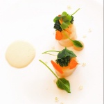 Lieu Jaune confit, céleri et chou vert pointu