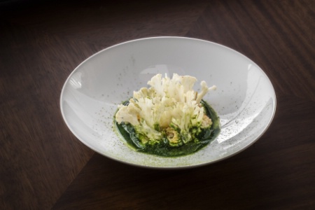 Totènes striés au teppan, purée de chou-fleur, matcha et jus d'épinard.