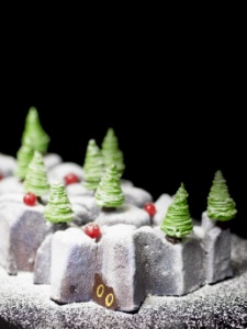 La bûche Jardin Alpin La bûche Jardin Alpin
