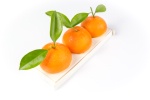 La bûche Mandarine de Nicolas Haelewyn