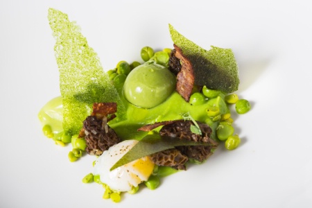 Morilles et petits pois en texture. Morilles et petits pois en texture.