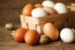 Fipronil dans les oeufs : point de situation du ministère de l'Agriculture et de l'Alimentation
