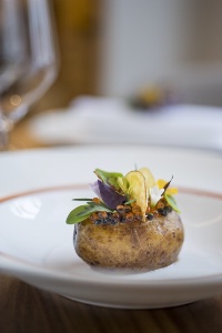 Pomme de terre et chevreuil. Pomme de terre et chevreuil.