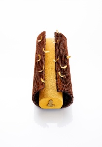 La bûche du Ritz Paris. La bûche du Ritz Paris.