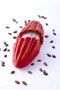 La bûche trompe l'oeil sans gluten. La bûche trompe l'oeil sans gluten.