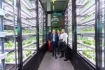 Metro France inaugure le plus grand potager urbain indoor d'Europe à Nanterre