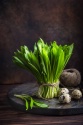 Les plantes aromatiques, mode d'emploi