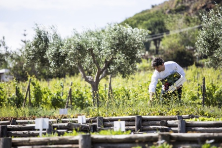 L'engagement d'Olivier Roellinger se retrouve au sein de Relais & Châteaux, à l'instar du Capofaro Locanda & Malvasia, sur l'île de Salina en Italie, où le chef Pier Ludovico De Vivo cultive ses fruits et légumes.