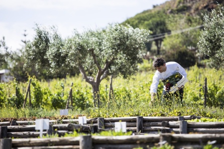L'engagement d'Olivier Roellinger se retrouve au sein de Relais & Châteaux, à l'instar du Capofaro Locanda & Malvasia, sur l'île de Salina en Italie, où le chef Pier Ludovico De Vivo cultive ses fruits et légumes.