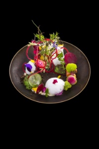 Le jardin de légumes croquants (avec saumon fumé, mousse de roquette, émulsion de citron, vinaigrette de tomates et crumble d'olives noires). Le jardin de légumes croquants (avec saumon fumé, mousse de roquette, émulsion de citron, vinaigrette de tomates et crumble d'olives noires).