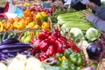 Le bio en France : légumes, fruits et vignes