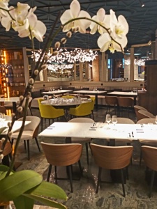 Great Fish Soup And Bouillabaisse Review Of Le Cabanon Marin Bordeaux France Tripadvisor
