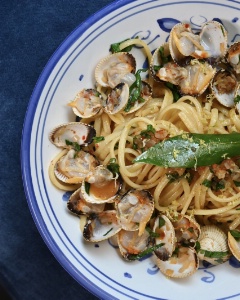 Vongole à l'harissa.