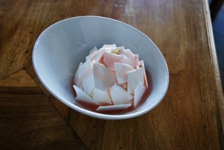 Pâtisserie signature : vacherin aux agrumes, espuma ricotta, sorbet yuzu, agrumes à la menthe et miel, coulis pamplemousse.