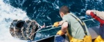 Ouverture des inscriptions du concours Olivier Roellinger pour la préservation des ressources de la mer 2023