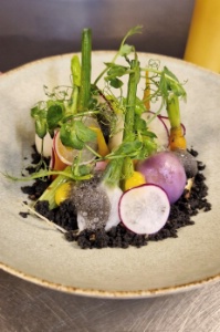 Jardin normand, émulsion de terre, condiment poire, safran du Calvados