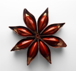 Inspirée de la badiane, Maxence Barbot, chef pâtissier au Shangri-La Paris, a réalisé la bûche Étoilée. Inspirée de la badiane, Maxence Barbot, chef pâtissier au Shangri-La Paris, a réalisé la bûche Étoilée.