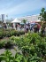 100 000 visiteurs pour le marché d’intérêt national de Nice