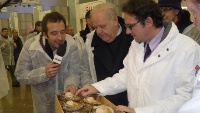 Jacques Le Divellec et le ministre devant un arrivage de Saint-Jacques.
