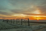 La Touraine et la Bourgogne durement touchées par le gel