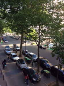 Une vue de l'avenue Rapp, traditionnellement très passagère, devenue piétonne.
