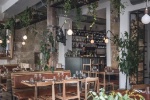 La naturalité, forte tendance du bar