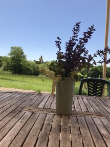 Les hébergements et les restaurants situés en zone rurale doivent pouvoir bénéficier d'une pré-enseigne estime le GNI. Les hébergements et les restaurants situés en zone rurale doivent pouvoir bénéficier d'une pré-enseigne estime le GNI.