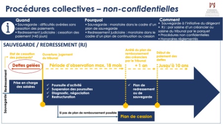 Tableau des procédures collectives, non confidentielles. Tableau des procédures collectives, non confidentielles.