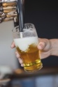 Consommation : la bière a retrouvé sa place en terrasse